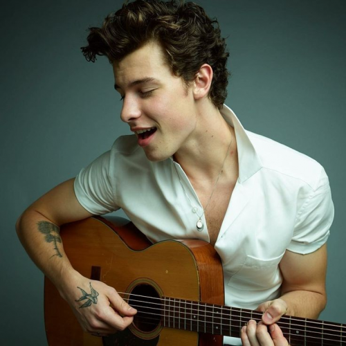 Create a Shawn Mendes Songs Tier List TierMaker