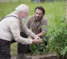 the walking dead season 4 episodes ranked