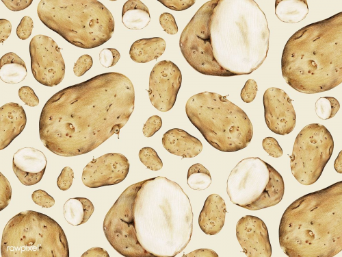 Create A Marching Band Tier List Tiermaker