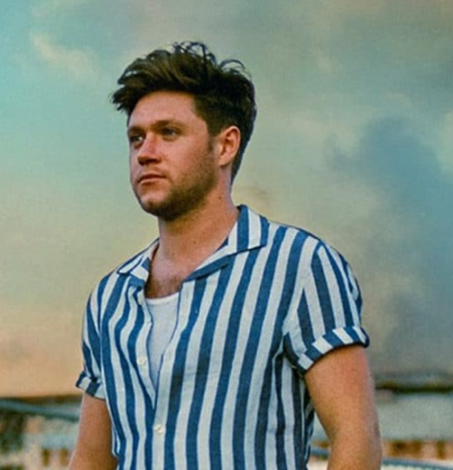 Niall Horan Has the Haircut to Show Your Barber This Fall  GQ
