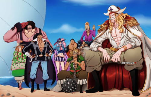 one piece portrait of pirates list