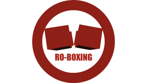Ro Boxing Best Gloves
