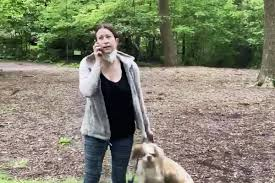 KAREN TIER LIST visual data 2