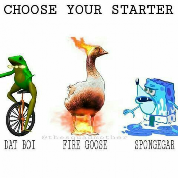 Starter Pokemon every single form ! (except 8G!) Tier List (Community ...