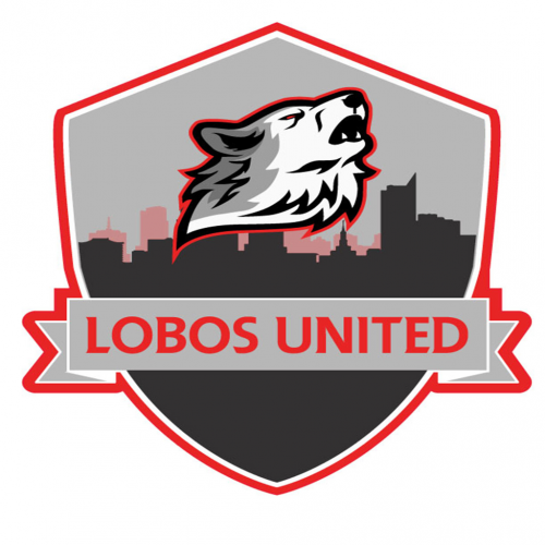 lobos net worth - Ilustrasi 3