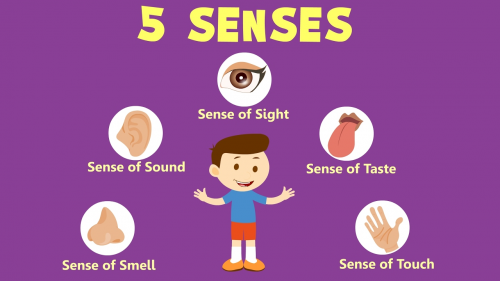 8-activities-using-the-5-senses-to-try-at-home-little-rock-family