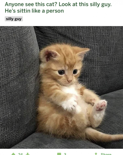 Create a Babysitting Chart Tier List TierMaker