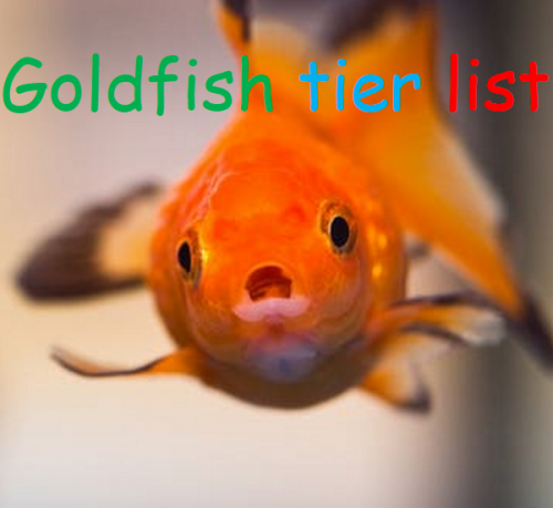 Goldfish Breed Tier List (Community Rankings) - TierMaker