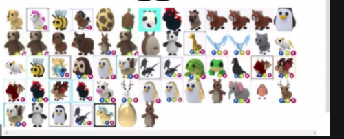 My Adopt Me pet tier list based off looks. What do you think about