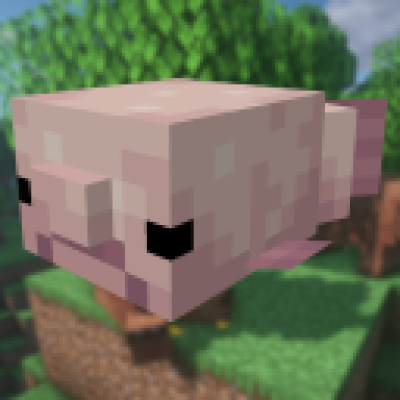 Minecraft Alex's Mobs Flashcards