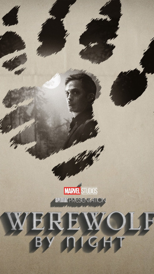 list of mcu projects in release order