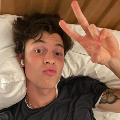 All Shawn Mendes Songs (20142022) Tier List Rankings