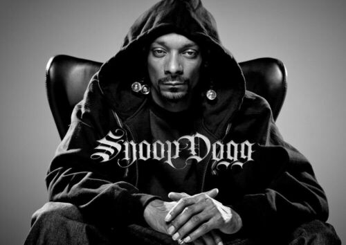 Tito silva music snoop dogg. Snoop Dogg. Рэпер снуп дог. Snoop Dogg poster. Snoop Dogg плакат.