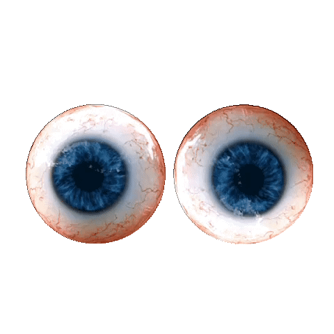 Create a Applecraft's Most Infamous Players Tier List - TierMaker