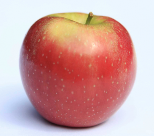 Create A Apples Tier List TierMaker create-a-apples-tier-list-tiermaker