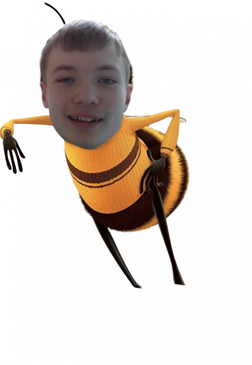 bee-movie-folka-tier-list-community-rankings-tiermaker