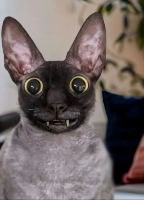 Best Bats Tier List Rankings) TierMaker