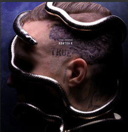  Create a Besten Deutschrap Alben 2020 Tier List - TierMaker Motiv 