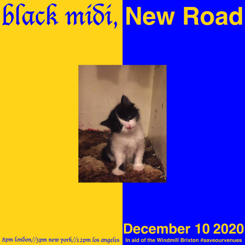 Create a Black Midi and Black Country, New Road Tier List TierMaker