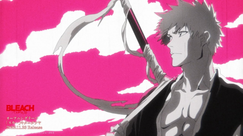 top 10 bleach openings