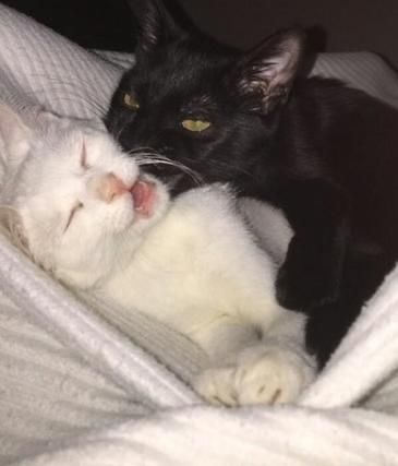 Create a Book Tropes Tier List - TierMaker