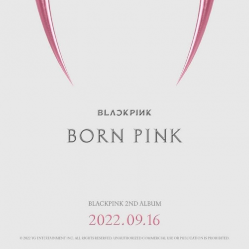 Born Pink Tier List Rankings) TierMaker