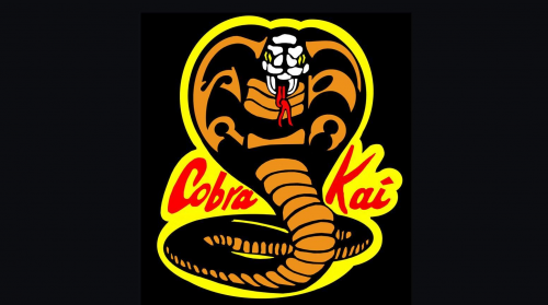 Create a Cobra Kai & Karate Kid Ship Ranking Tier List - TierMaker