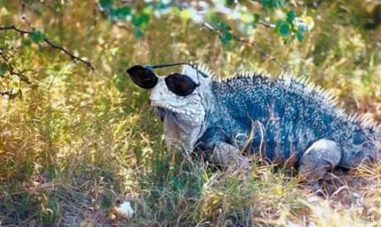 Create a dad bod Tier List - TierMaker