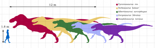 Dinosaur families Tier List (Community Rankings) - TierMaker