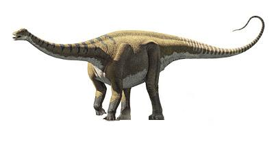 Dinosaurs of the clade of the sauropods Tier List (Community Rankings ...