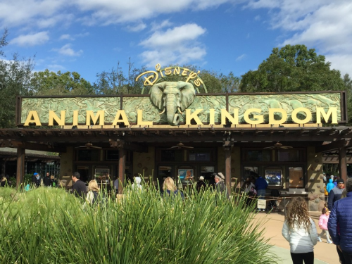 Disney's Animal Kingdom Attraction List Tier List (Community Rank