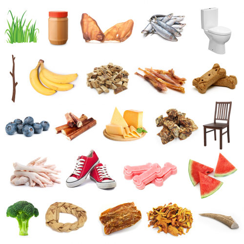 top-dog-treats-tier-list-community-rankings-tiermaker