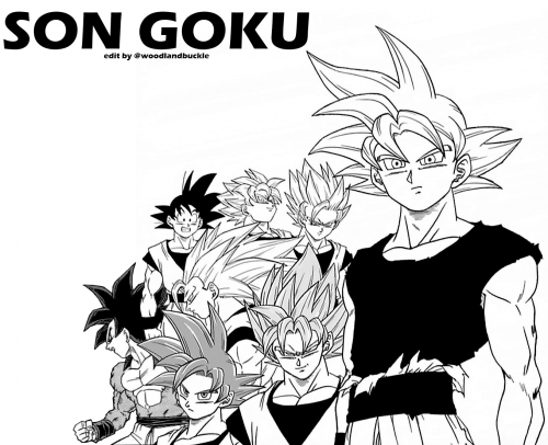 dragon ball z all characters and transformations