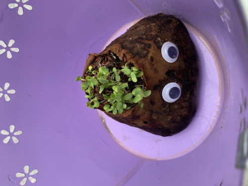 Create a easy watching movies Tier List TierMaker