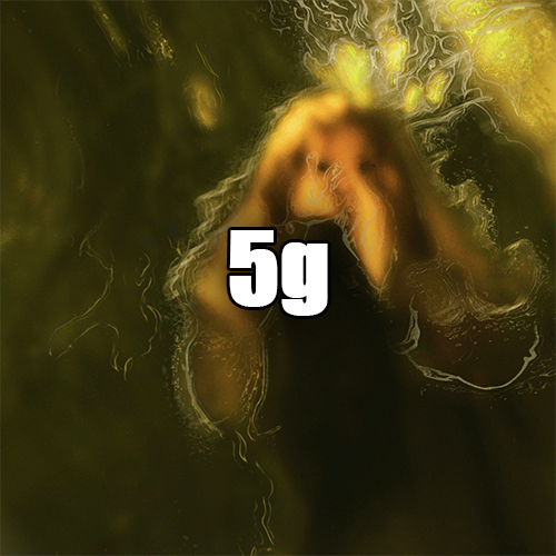 Create a Every brakence Song (2023) Tier List TierMaker