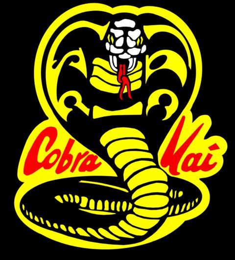 Create a Every Cobra Kai fighter Tier List - TierMaker