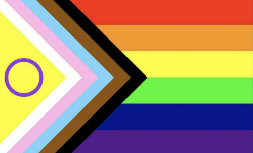 LGBT Flags Tier List (Community Rankings) - TierMaker