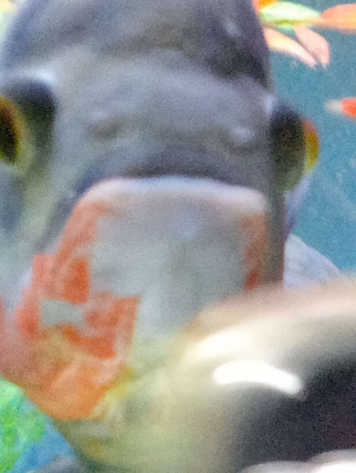 Create A Favourite Albums Tier List Tiermaker