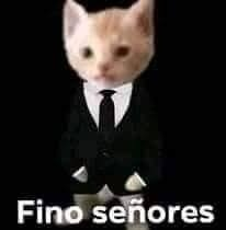 fino senhores png