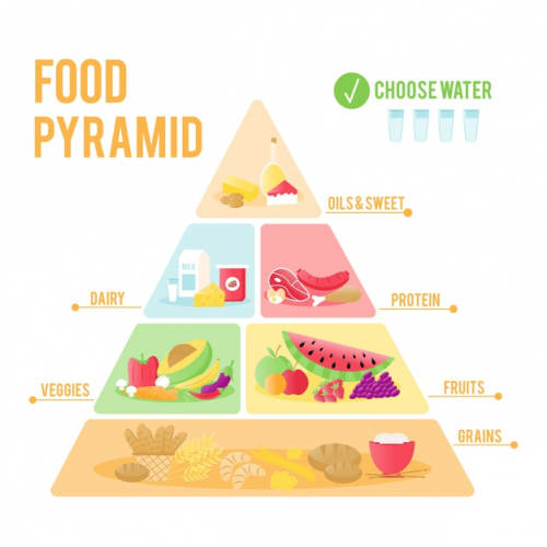 create-a-food-pyramid-tier-list-tiermaker