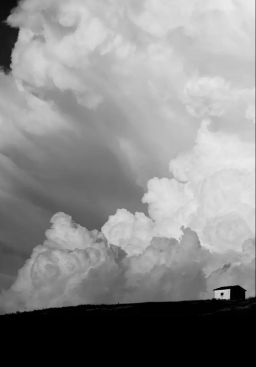 Create A Ghost Tier List Tiermaker