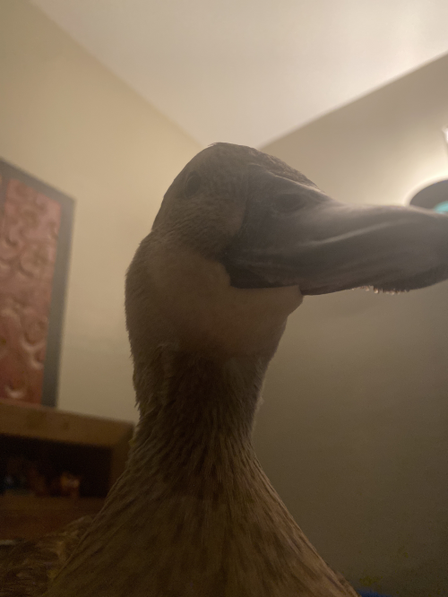 Ghostbusters Extermination Tier List (Community Rankings) - TierMaker