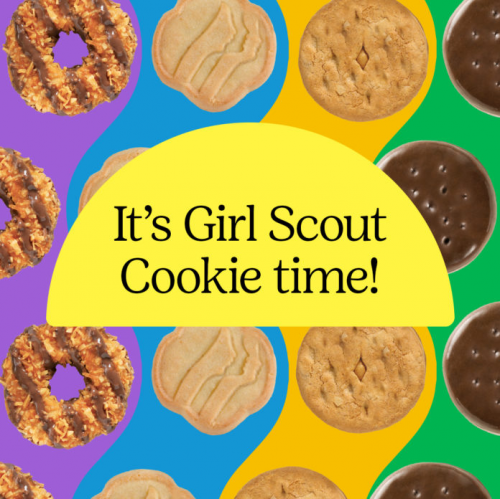 Create a Girl Scout Cookies Tier List - TierMaker