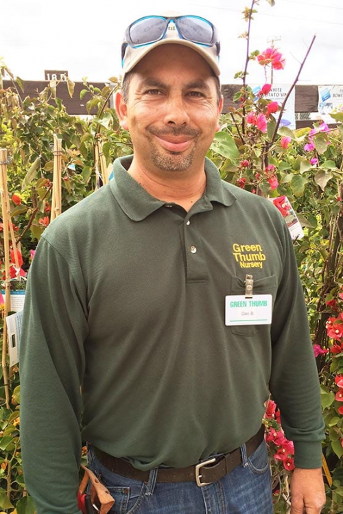 Create a Green Thumb Fight Ranking Tier List TierMaker