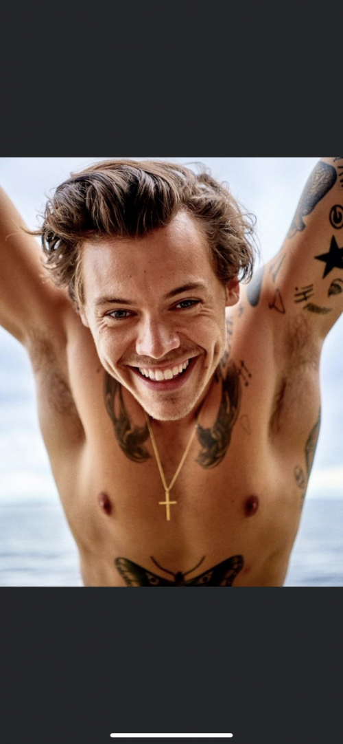 Create a Harry Styles Songs Tier List TierMaker