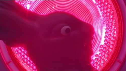 jo's blorbo list Tier List (Community Rankings) - TierMaker