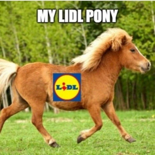 Lidl my clearance little pony