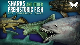 Mario Lanzas’ Sharks & Prehistoric Fish Tier List (Community Rankings ...