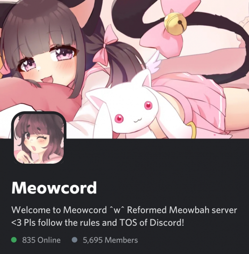 meowbahh discord sever invite｜TikTok Search