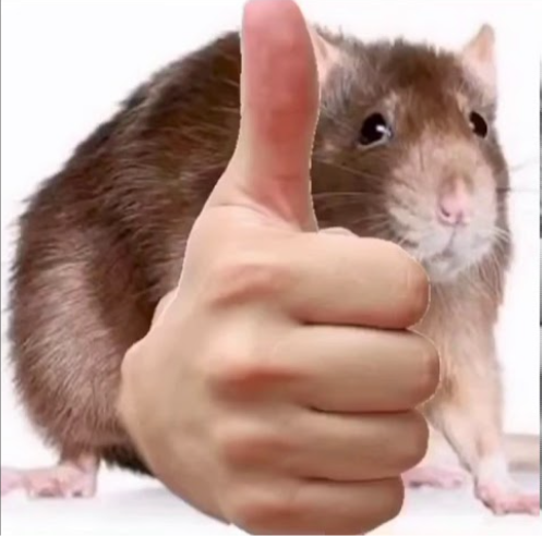 Mobile legends (updated) Tier List (Community Rankings) - TierMaker